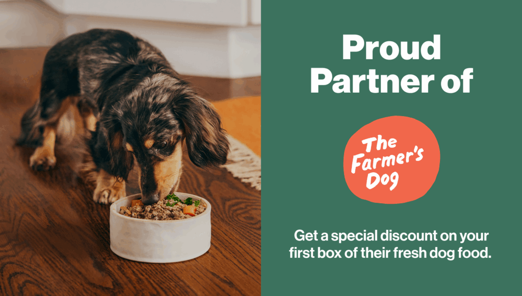 Adorable dog eating from a bowl, promoting pet care services.