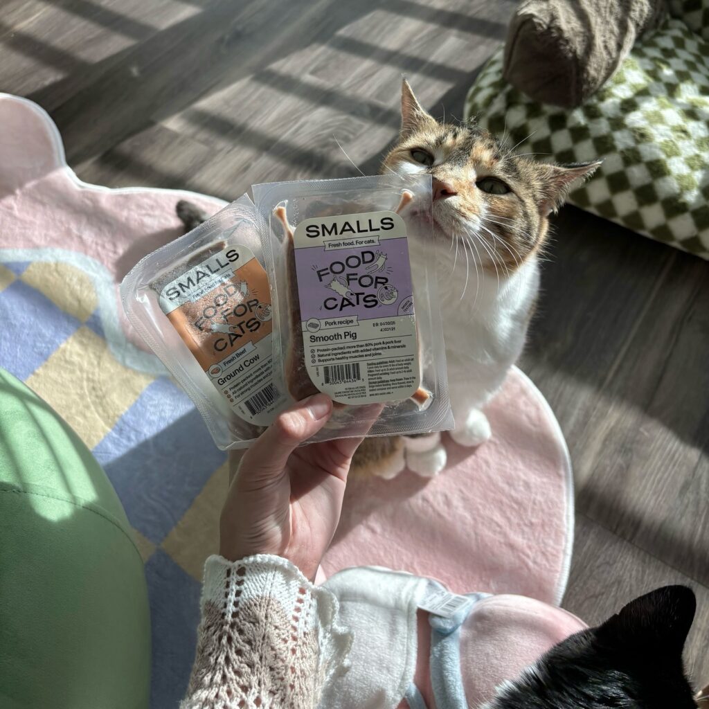 cat loving on their Smalls cat food