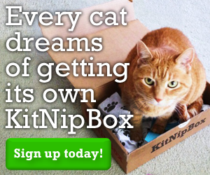 kitNip Box
