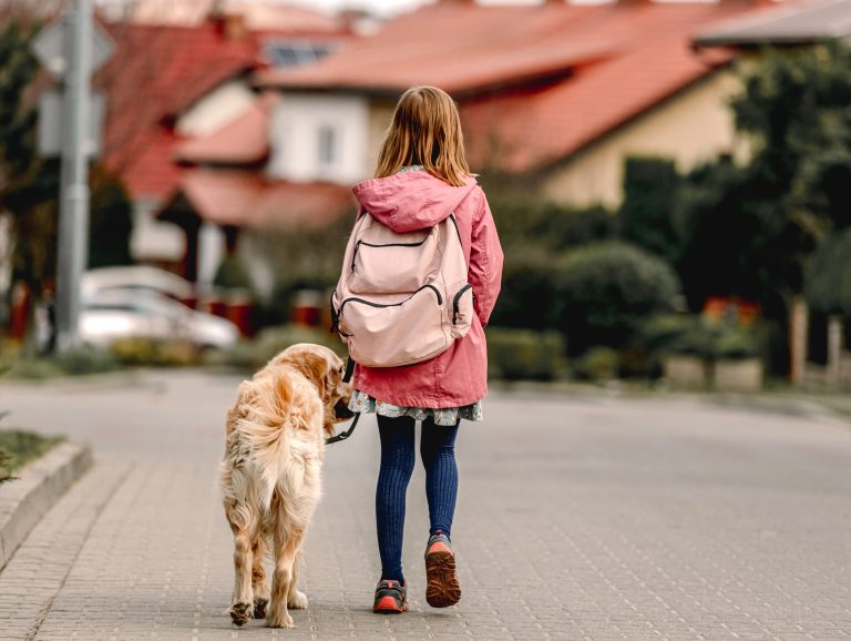 back-to-school-dog-walking-cat-care-atlanta