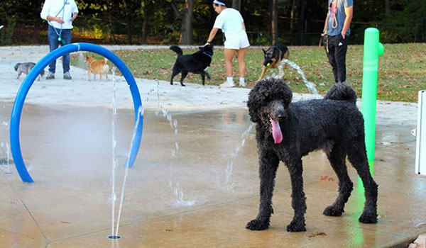 Brookhaven Dog Park​