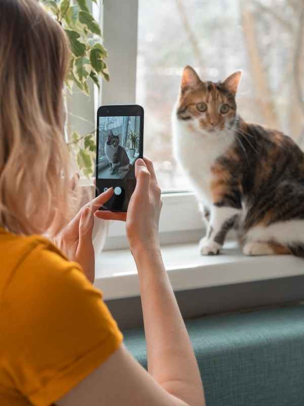 Every visit includes a personalized journal update so you always know how your cat is doing.