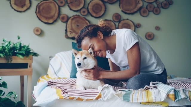 Professional dog sitter Atlanta providing overnight care in client home