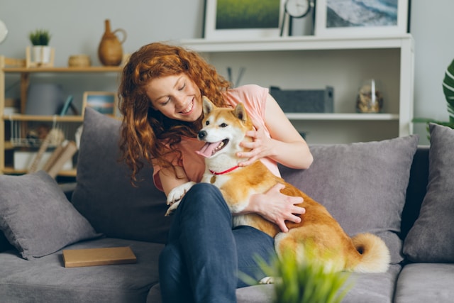 Professional dog sitter Atlanta providing in-home care with dog on couch