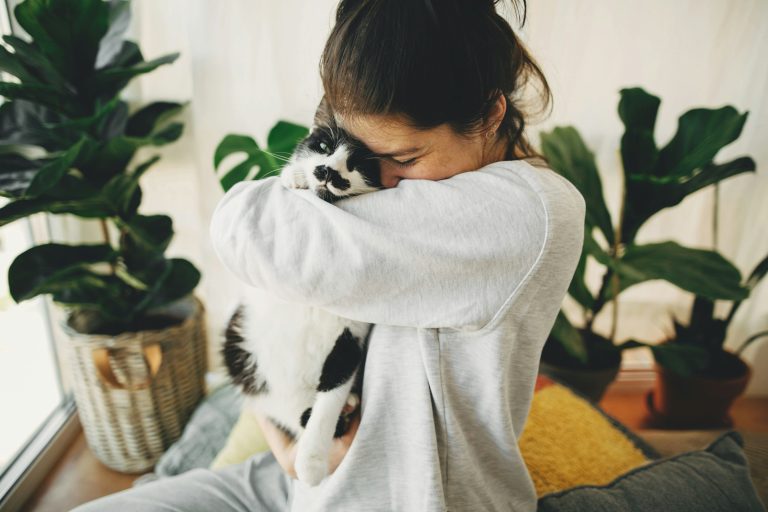 atlanta cat sitting – woman holding and comforting cat at home