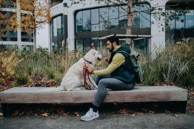 dog sitting atlanta – dog walker with dog in in-town neighborhood