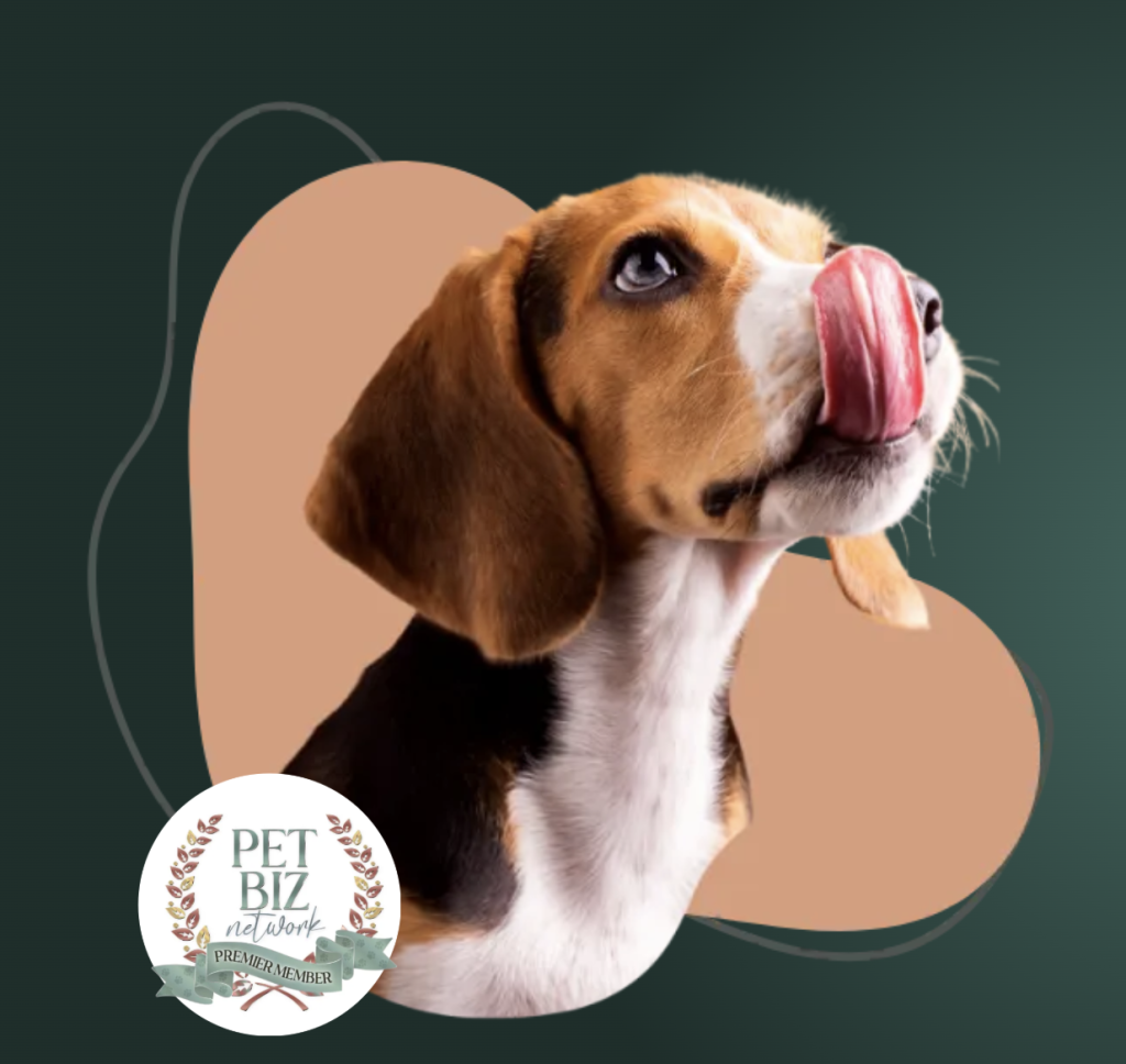 Local pet sitter in Atlanta caring for a happy dog during an in-home pet sitting visit