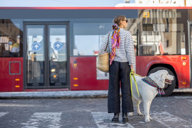 Professional dog walker in Buckhead Atlanta walking a large white dog through a busy city neighborhood.