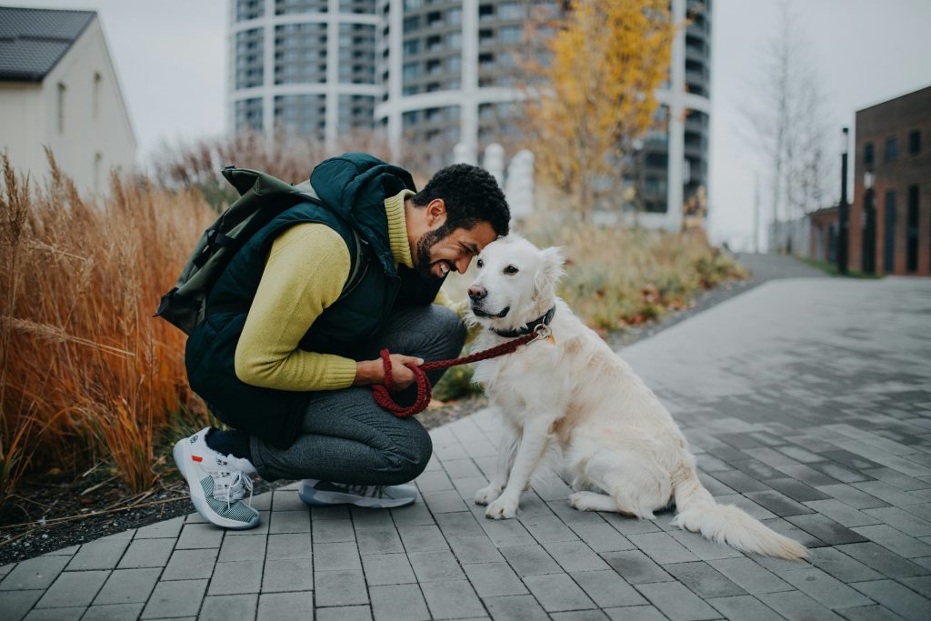 Dog walker Buckhead Atlanta greeting a happy white dog during a regular midday visit.