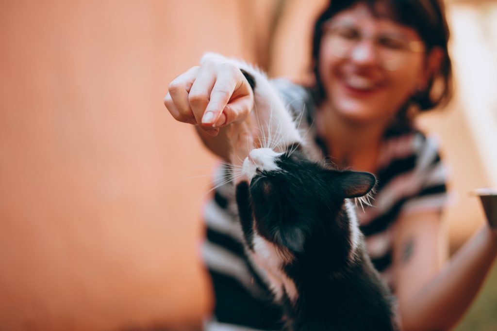 Professional pet sitter in Atlanta building trust with a cat during an in-home visit