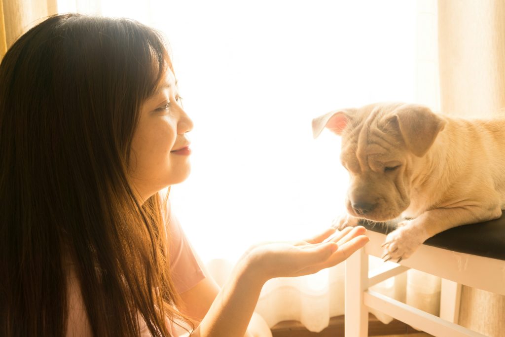 Pet sitter for an anxious dog providing calm in-home care during a visit in Atlanta
