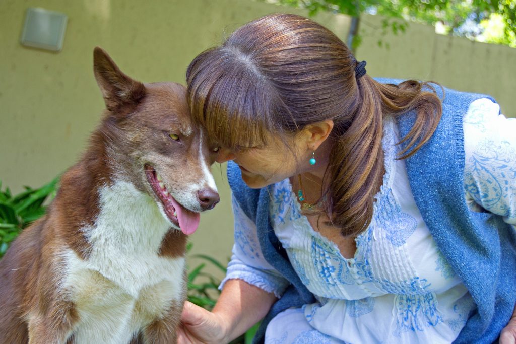 Pet sitter costs Atlanta for professional in-home pet sitting