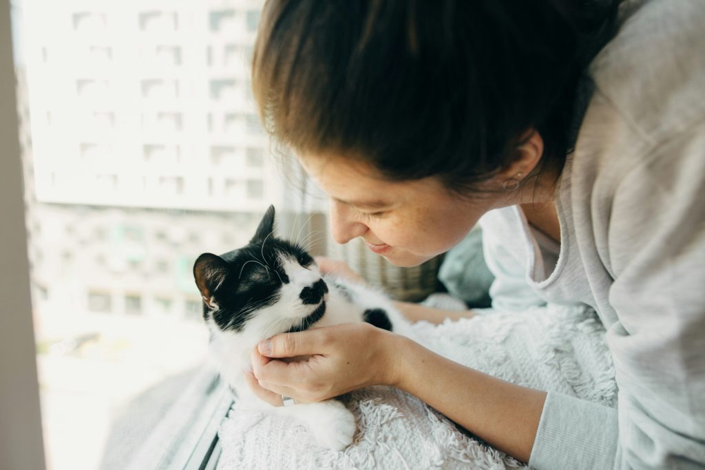 Cat sitter Virginia Highlands providing in-home cat care